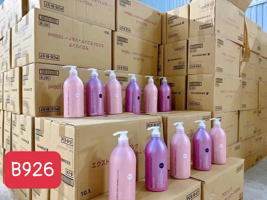 Cặp gội-xả salon link Extra 1000ml