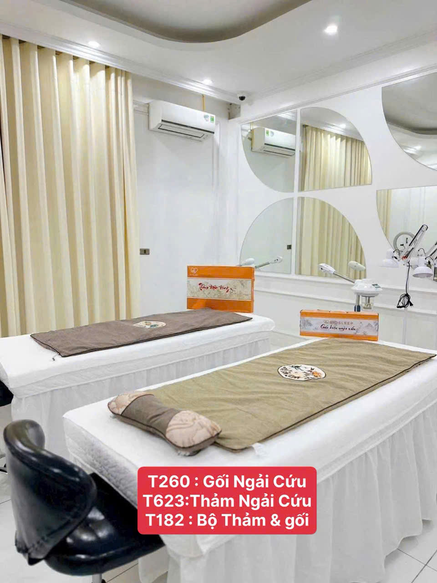 Thảm Ngải Cứu Đông Y BIOSLEEP