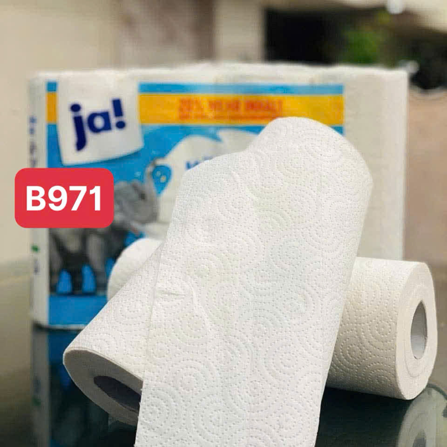 Giấy Ja Nhà Bếp Đa Năng Đức( Tổng 8 cuộn)