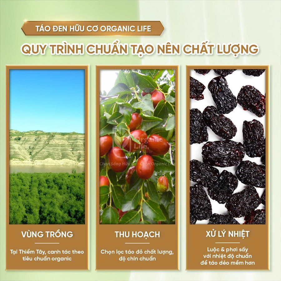 Táo đen hữu cơ Organic Life 400g