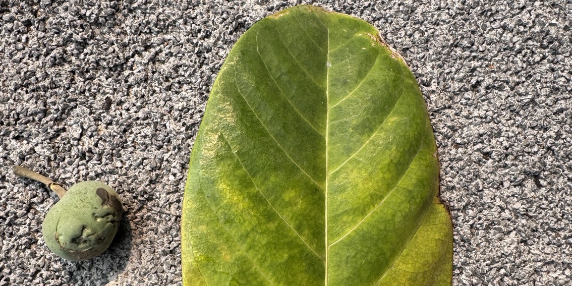 Một phiên đặc biệt💥💥