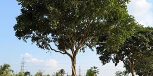 Lô siêu VIP cho Hè💥💥