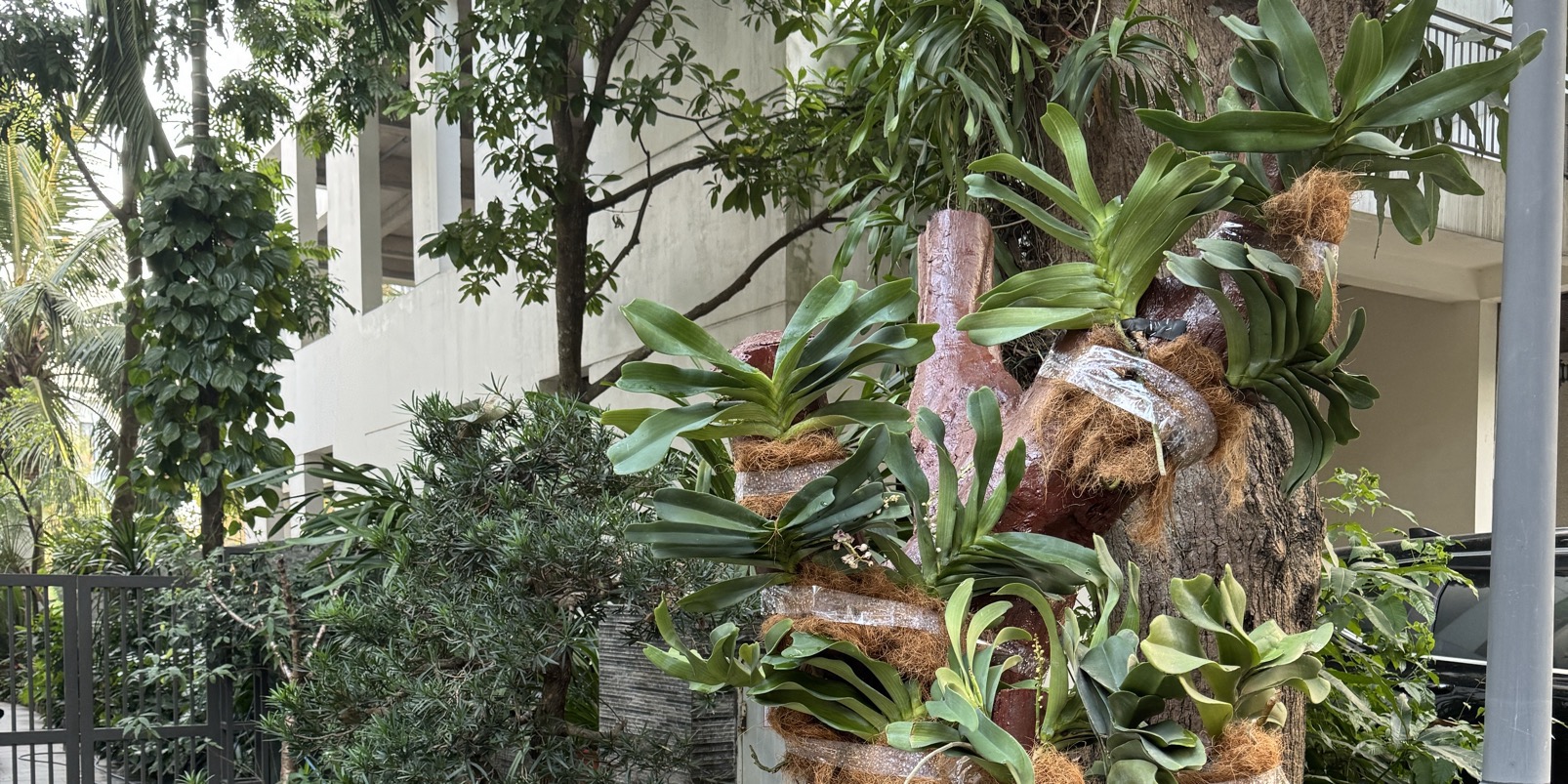 Một Live Đặc Biệt💥💥