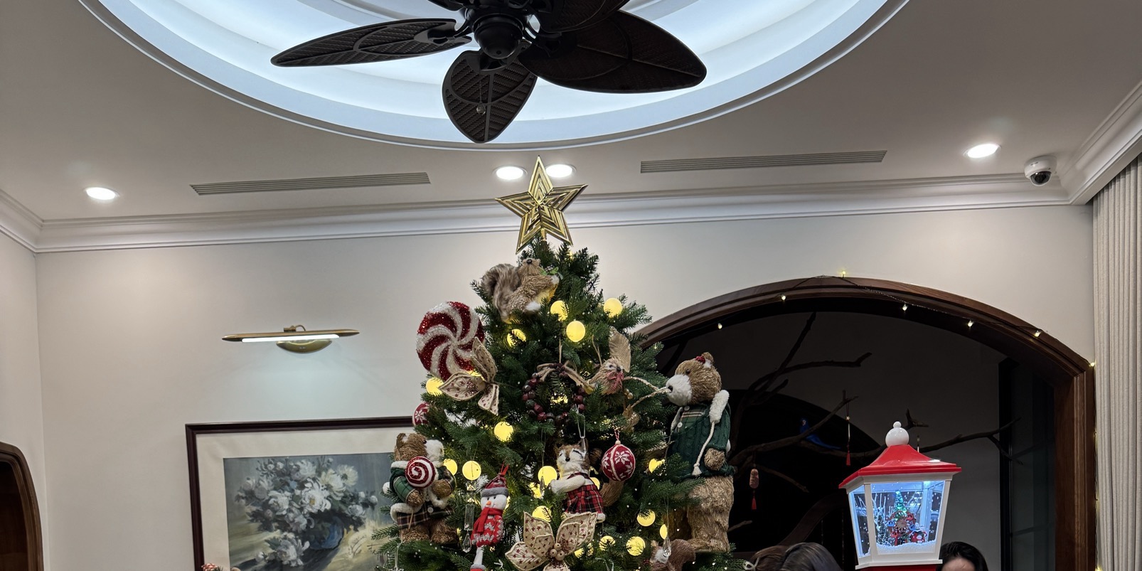 Đón gió lạnh về 💥💥