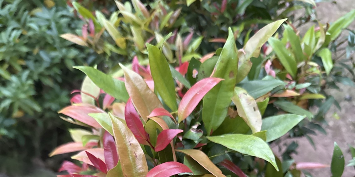 Gia dụng và tiêu dùng 💥💥