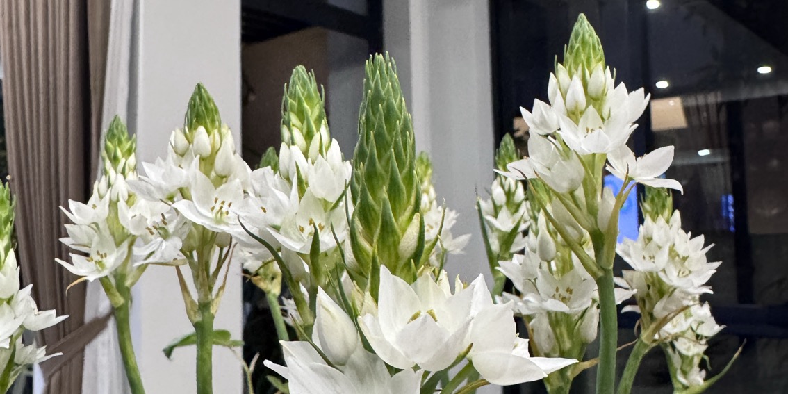 Một Live cho Hè nhé💥💥