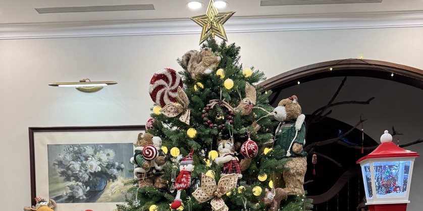 Một lô Vip về💥💥