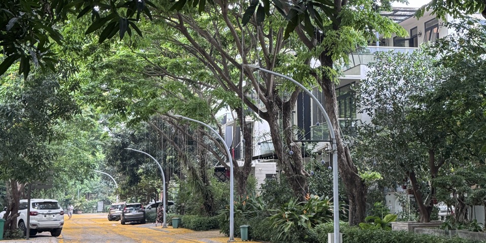 Một Live Đặc Biệt💥💥