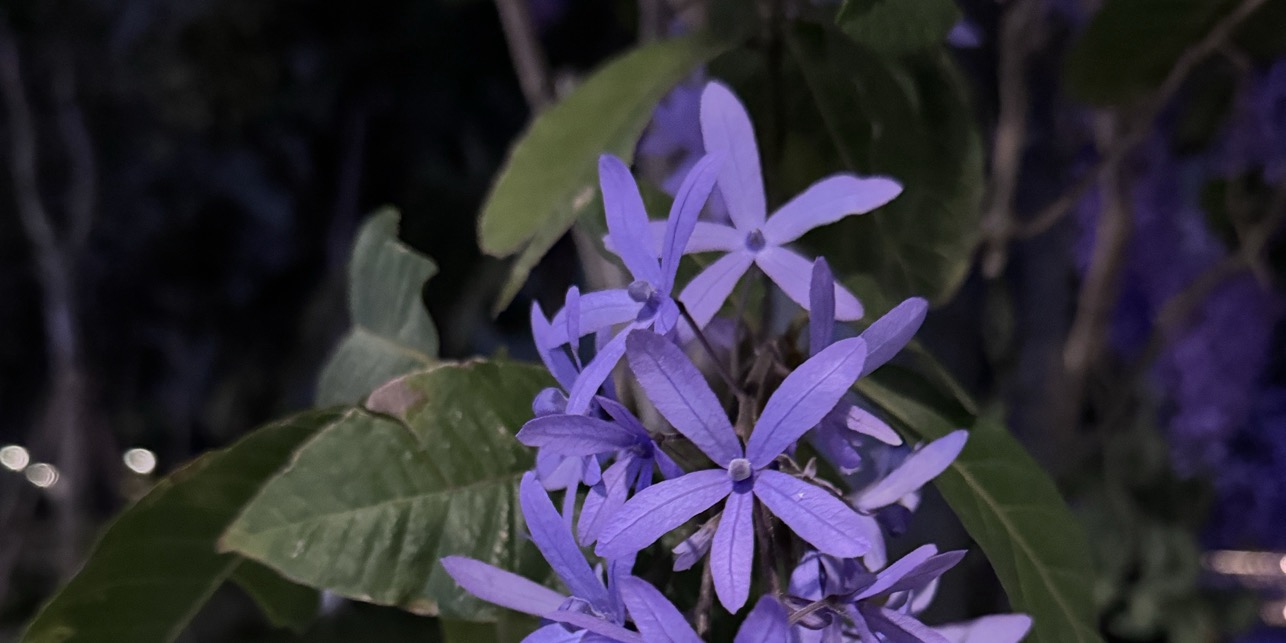 Một chiếc Live xinh yêu 🥰 