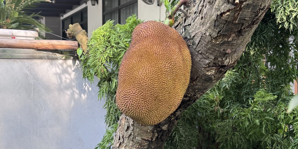 Có Hẹn 💥💥