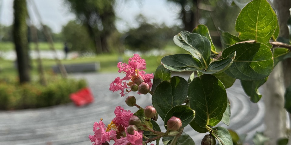 Lên thôi muộn rồi 💥💥