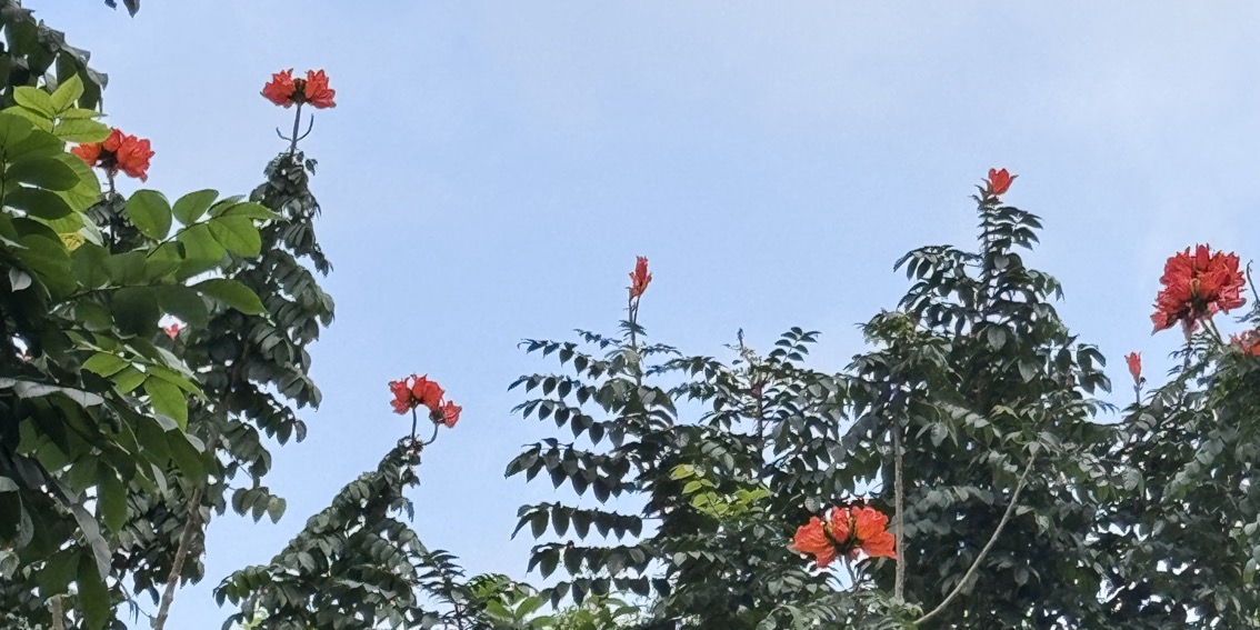 Một lô VIP chào hè💥💥