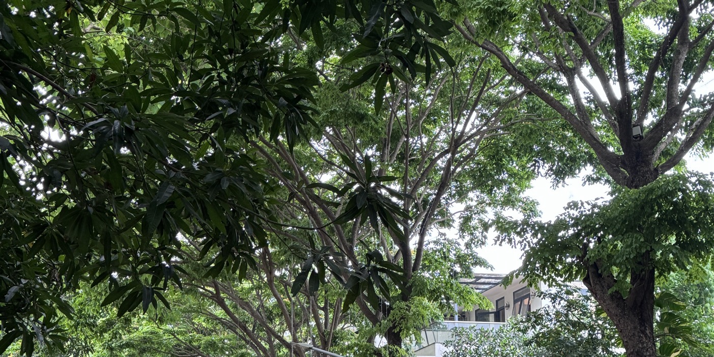 Hàng về ngập kho💥💥