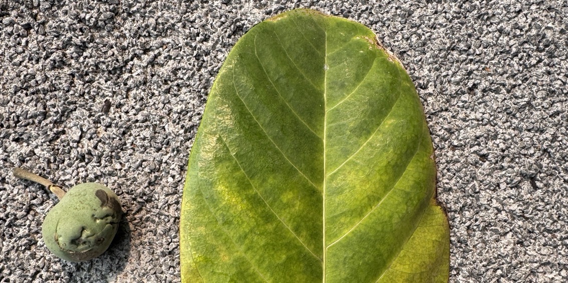 Hạ nhiệt ngày Hè💥💥