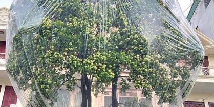 Một Live chấn động💥