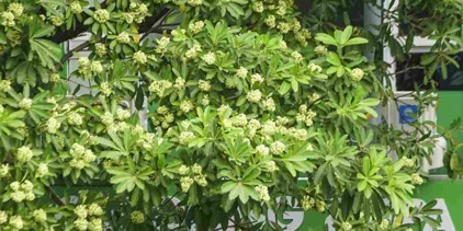 Đã về nhé 💥💥