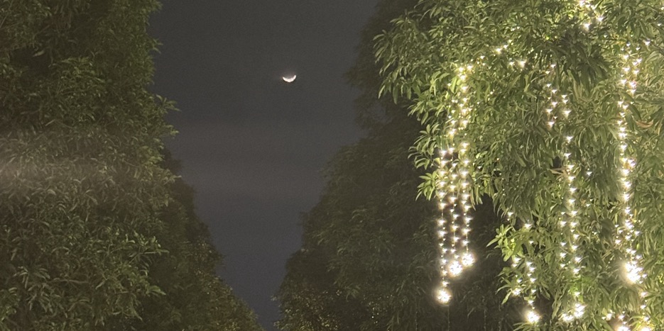 Chào đón năm mới 💥💥