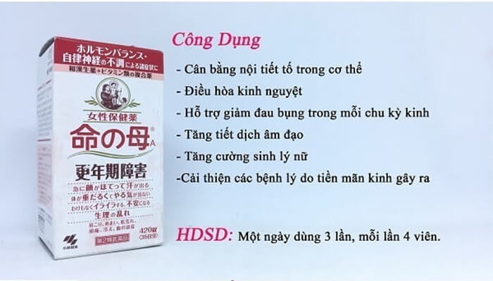 Viên Đặt Phụ Khoa Nhật Bản Estoril (vỉ 10 viên)