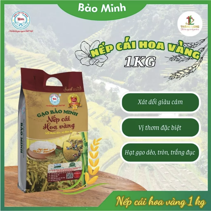 Gạo Nếp cái hoa vàng 1kg  - Combo 5 túi (miễn ship)