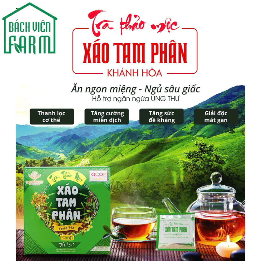 Combo 3 hộp Trà túi lọc xáo tam phân 10 gói